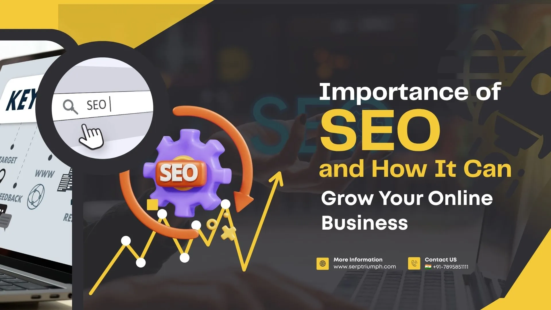 Importance of SEO and How It Can Grow Your Online Business