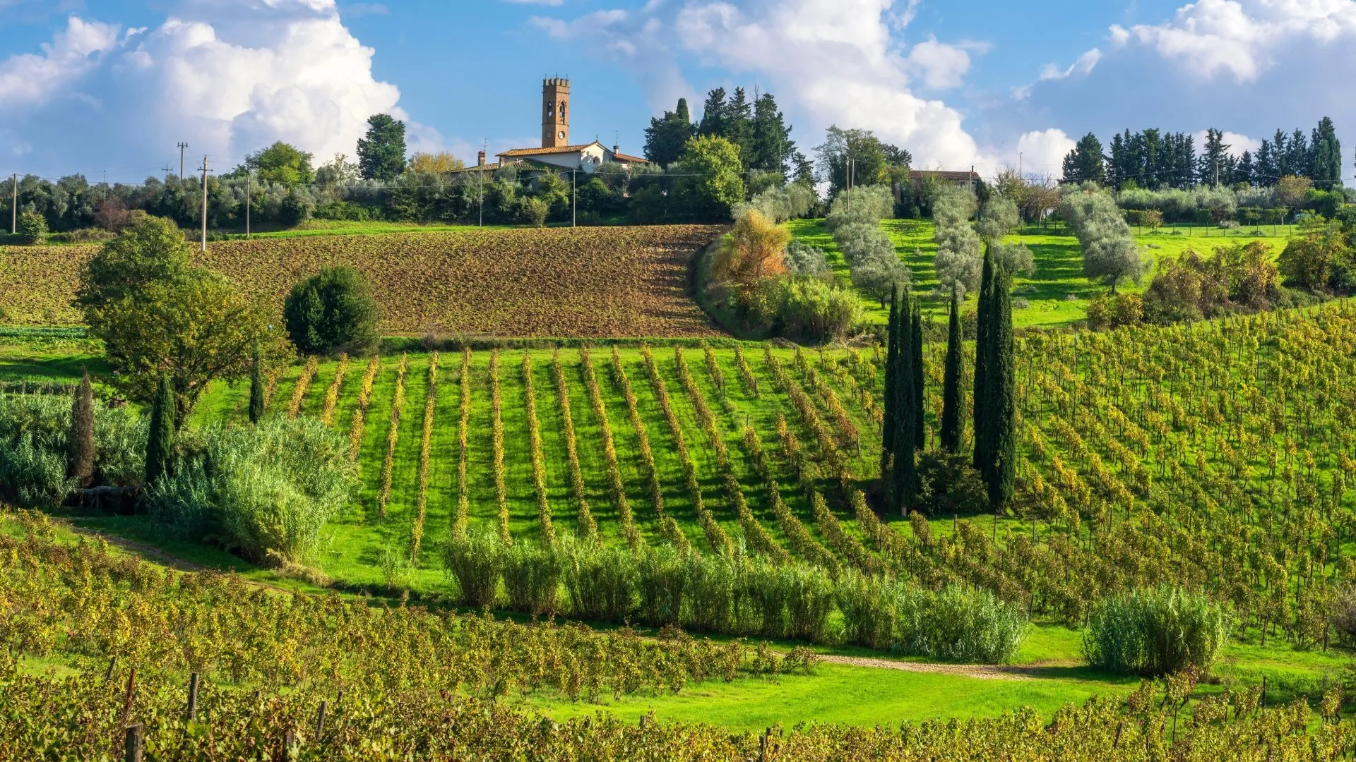 Discover the Best Tuscany Tours from Florence for an Unforgettable Trip