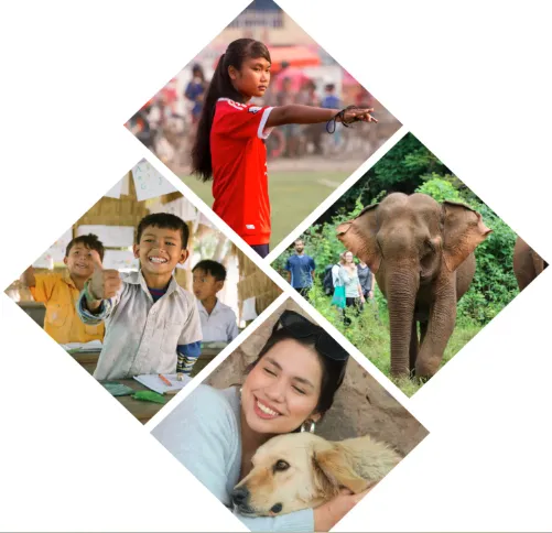 What Should You Know Before Joining Elephant Volunteer Programs?