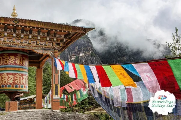 Bhutan Packages from Kolkata to Explore Paro, Thimphu & Punakha