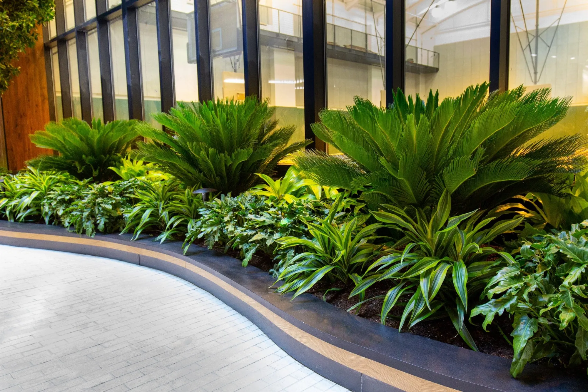 What to Expect From a Professional Indoor Plant Service