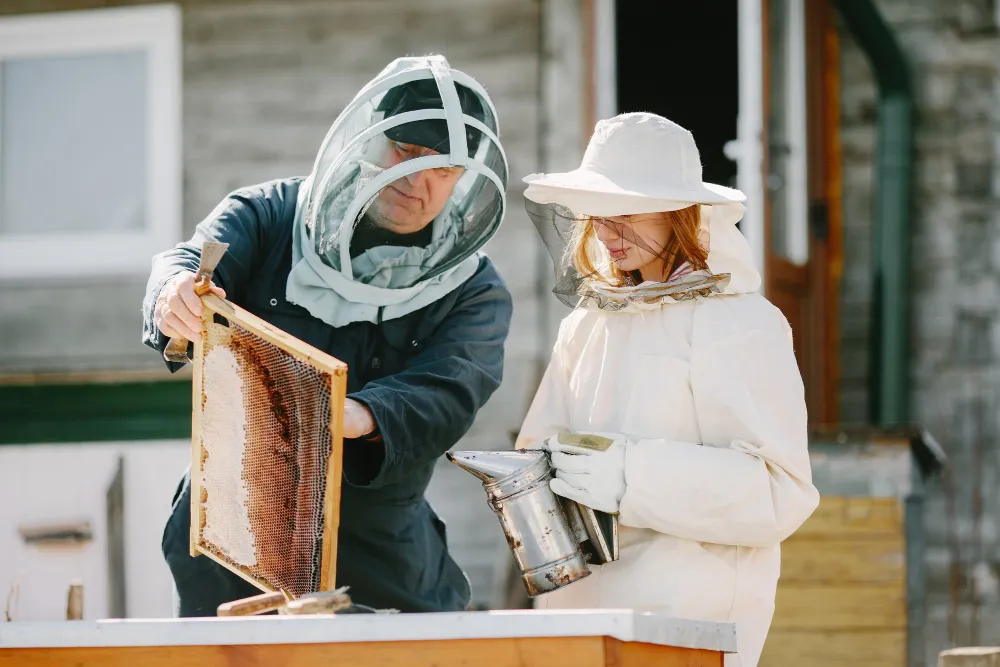 Safe Solutions for Removing Dangerous Stinging Insects