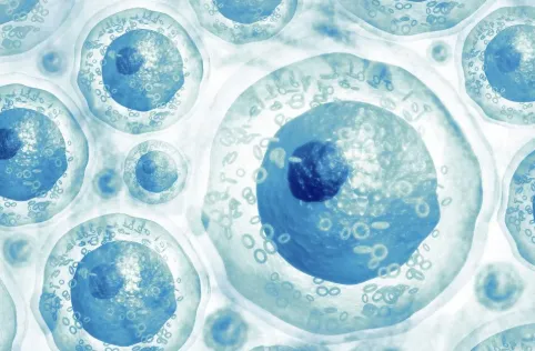 6 Important Questions About Stem Cells for Cognitive Decline