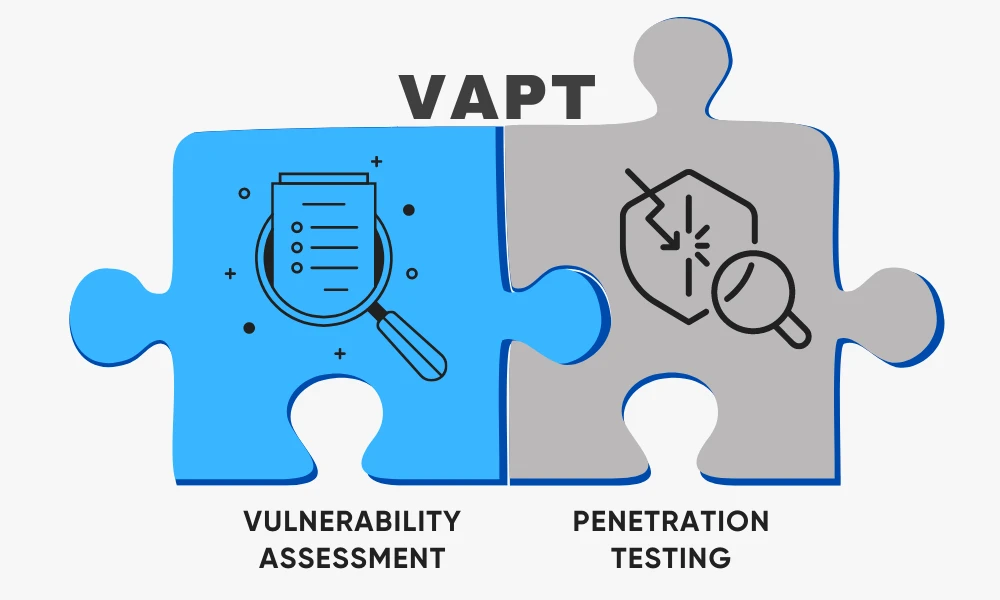 VAPT Services