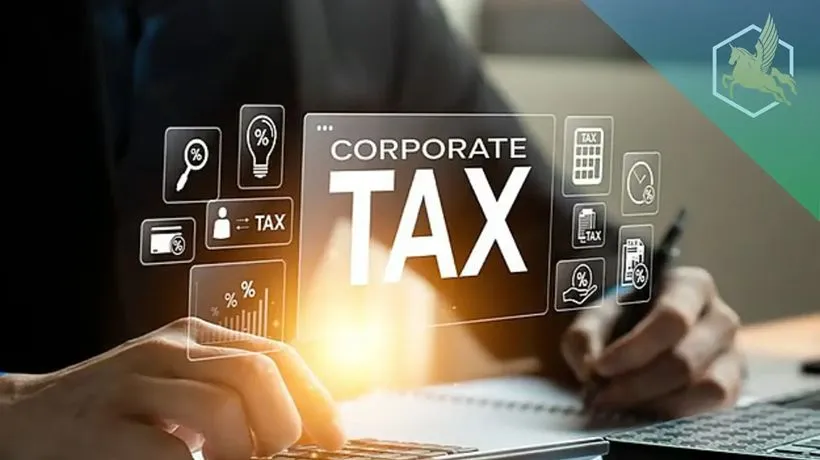 What Should You Look for in the Top Audit Firms in UAE?