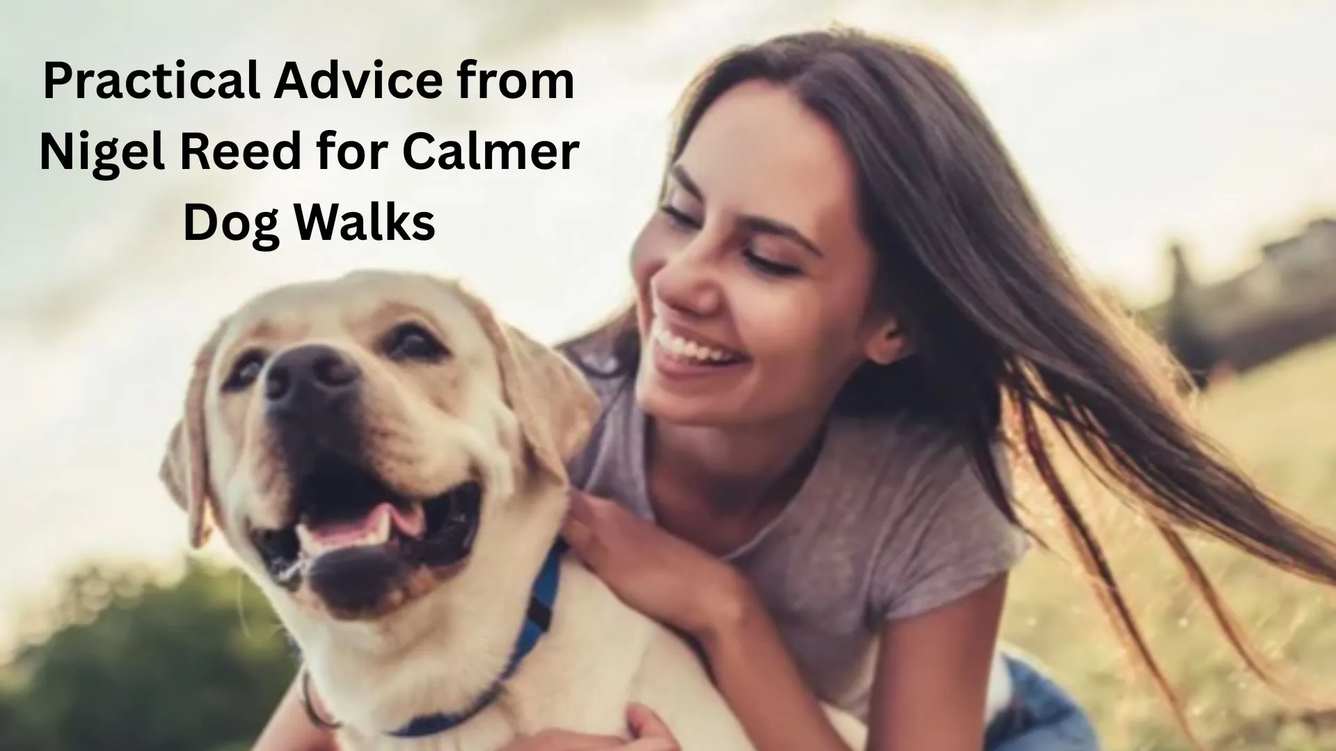 Practical Advice from Nigel Reed for Calmer Dog Walks