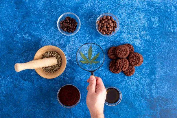 Why Ingredient Quality Matters in CBD Edibles for Consumers