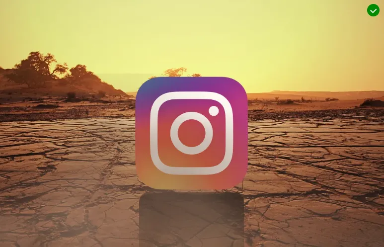 How Home Brands Are Building Instagram Communities That Convert