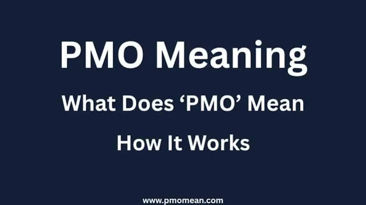 What Does PMO Mean? A Complete Guide to the Project Management Office