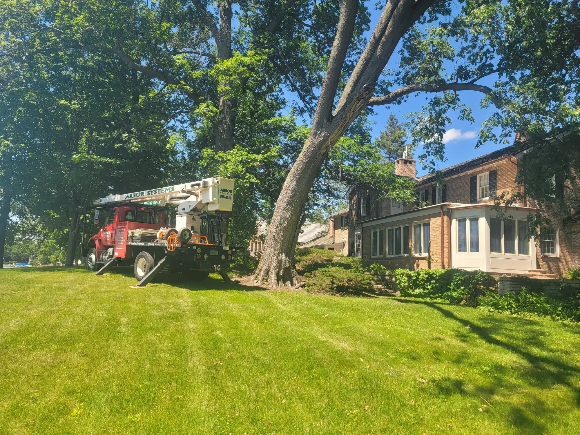 How to Keep Mature Trees Healthy and Safe Around Your Property
