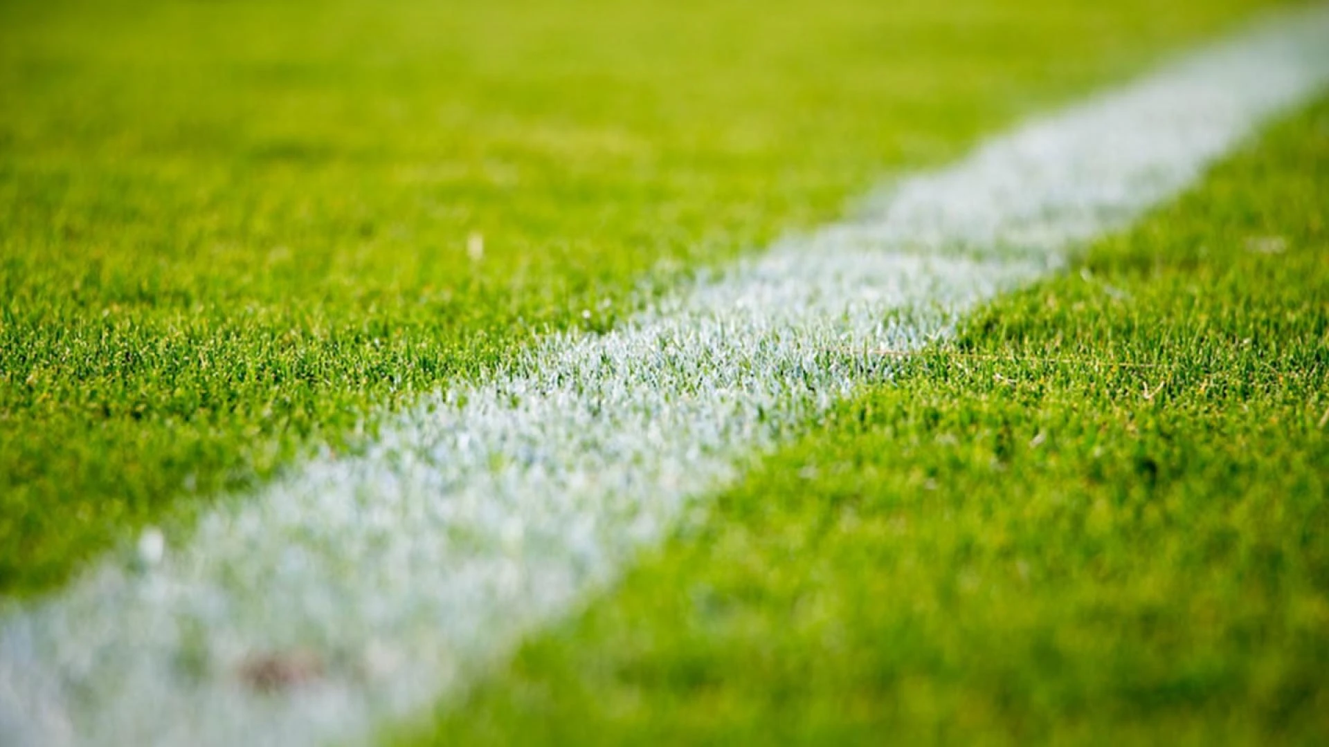 How to Keep Your Synthetic Sports Surface Looking Pristine
