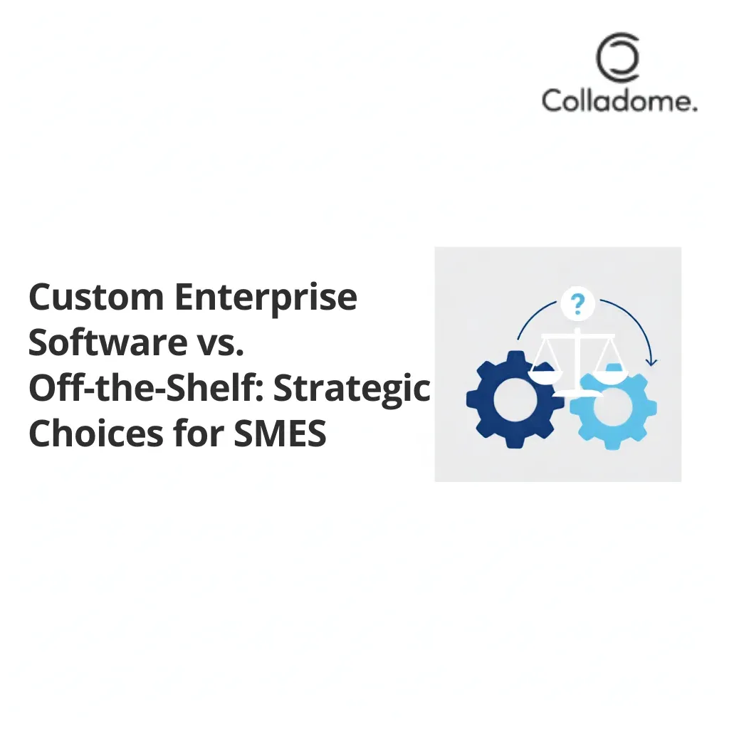 SMEs: Custom vs Off-the-Shelf Enterprise Software?