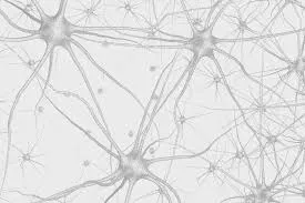 Supporting Research Into Vestibular Schwannoma