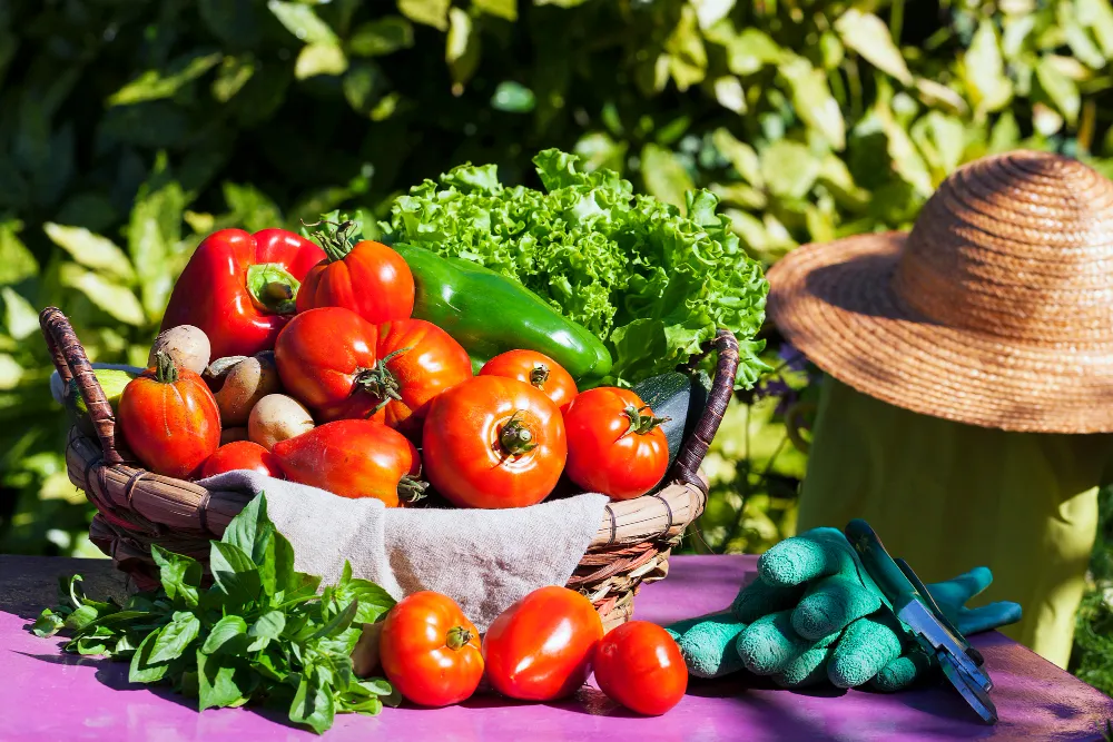 Simple Vegetable Garden Plants to Start Growing at Home