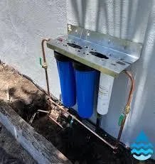 What are some health advantages of a filtration system?