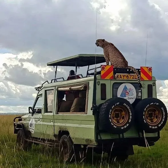 Explore Kenya’s Wildlife, Landscapes, and Culture on an Unforgettable Safari