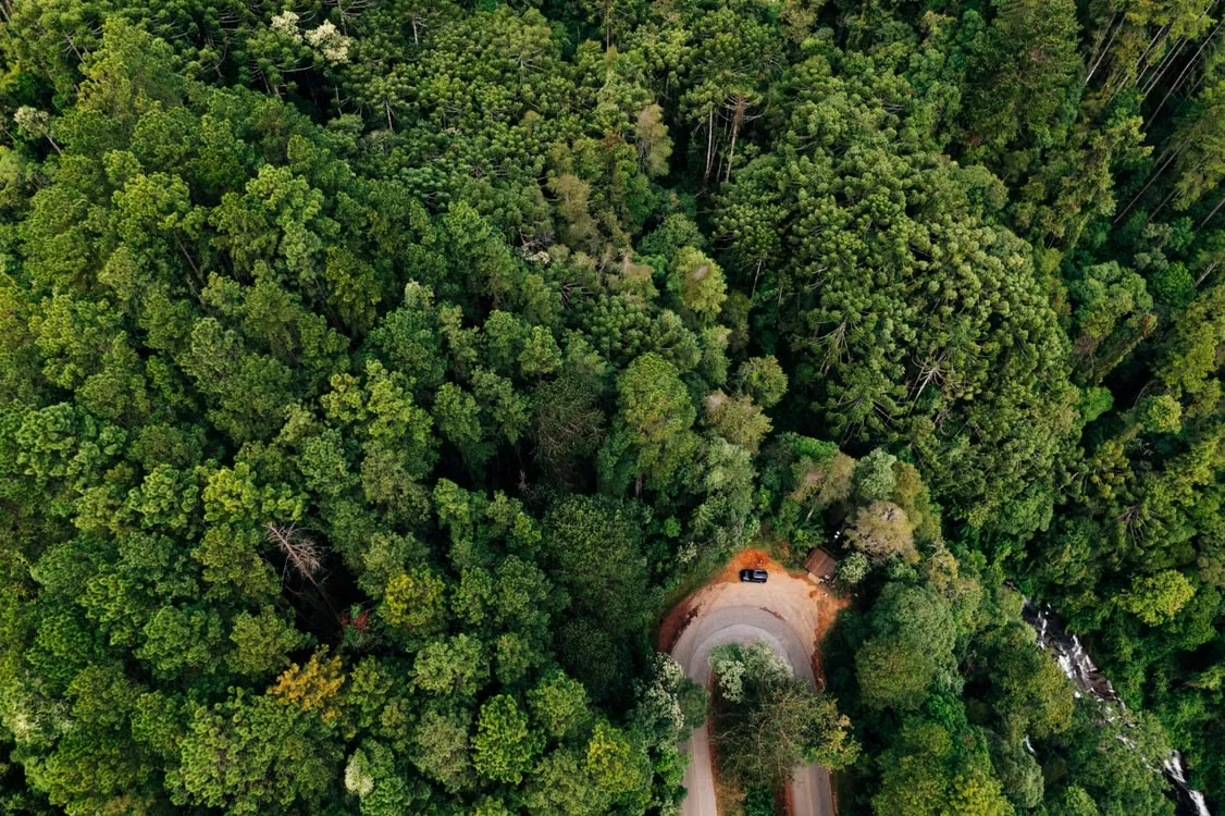 Planning a Smoky Mountain Getaway? How a UTV Scenic Drive Can Add Something Different to Your Trip