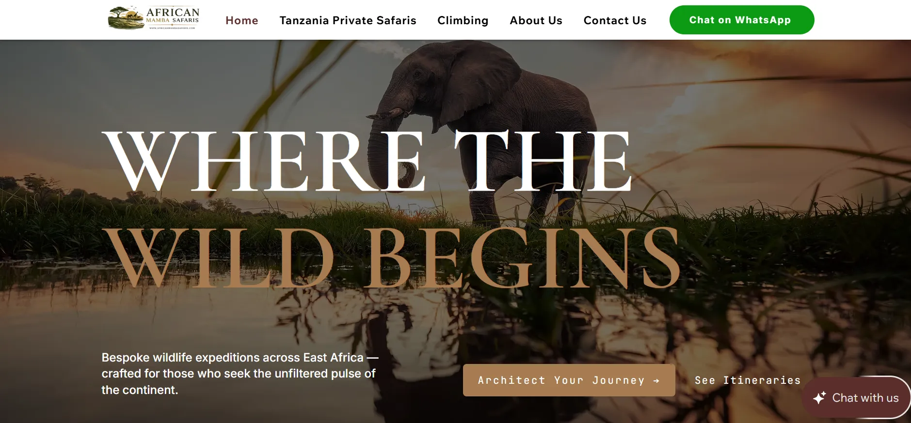 Tanzania Fly-In Safari from Zanzibar: Short Safaris, Serengeti & Great Migration