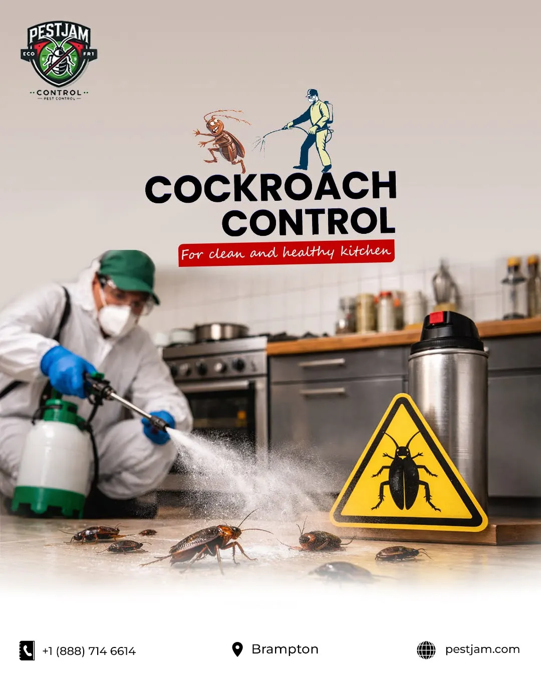 How to Choose the Right Cockroach Treatment for Canadian Homes
