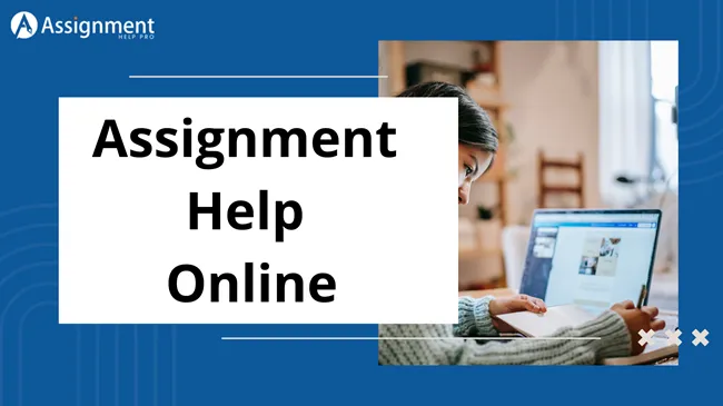 Assignments: How to Write Like a Pro