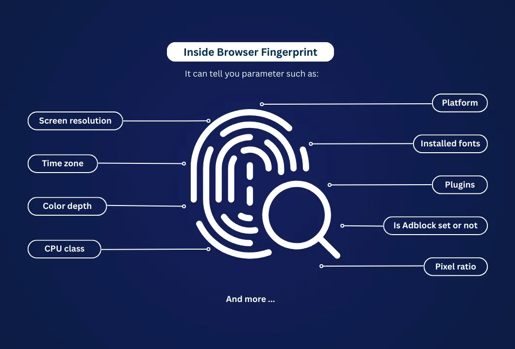 What Is a Browser Fingerprint? Everything Websites Collect From Your Browser
