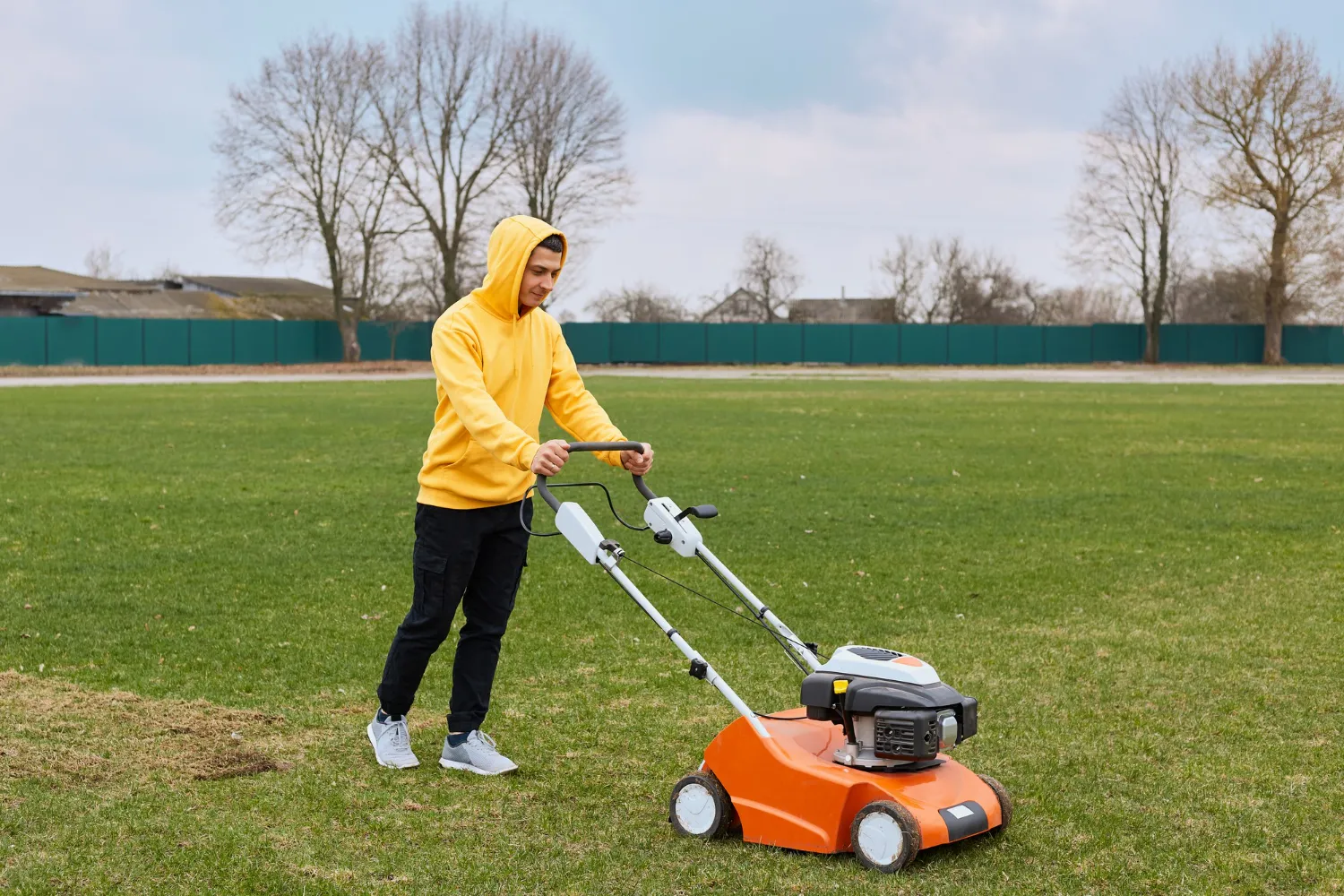 Maintaining a Healthy Yard With Seasonal Weed Control in Winnipeg