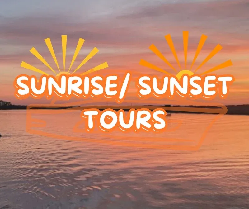 Wildlife and Bird Watching Cruise: Discover Savannah’s Coastal Wildlife from the Water