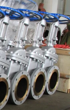 Stainless Steel Gate Valve Manufacturer in USA