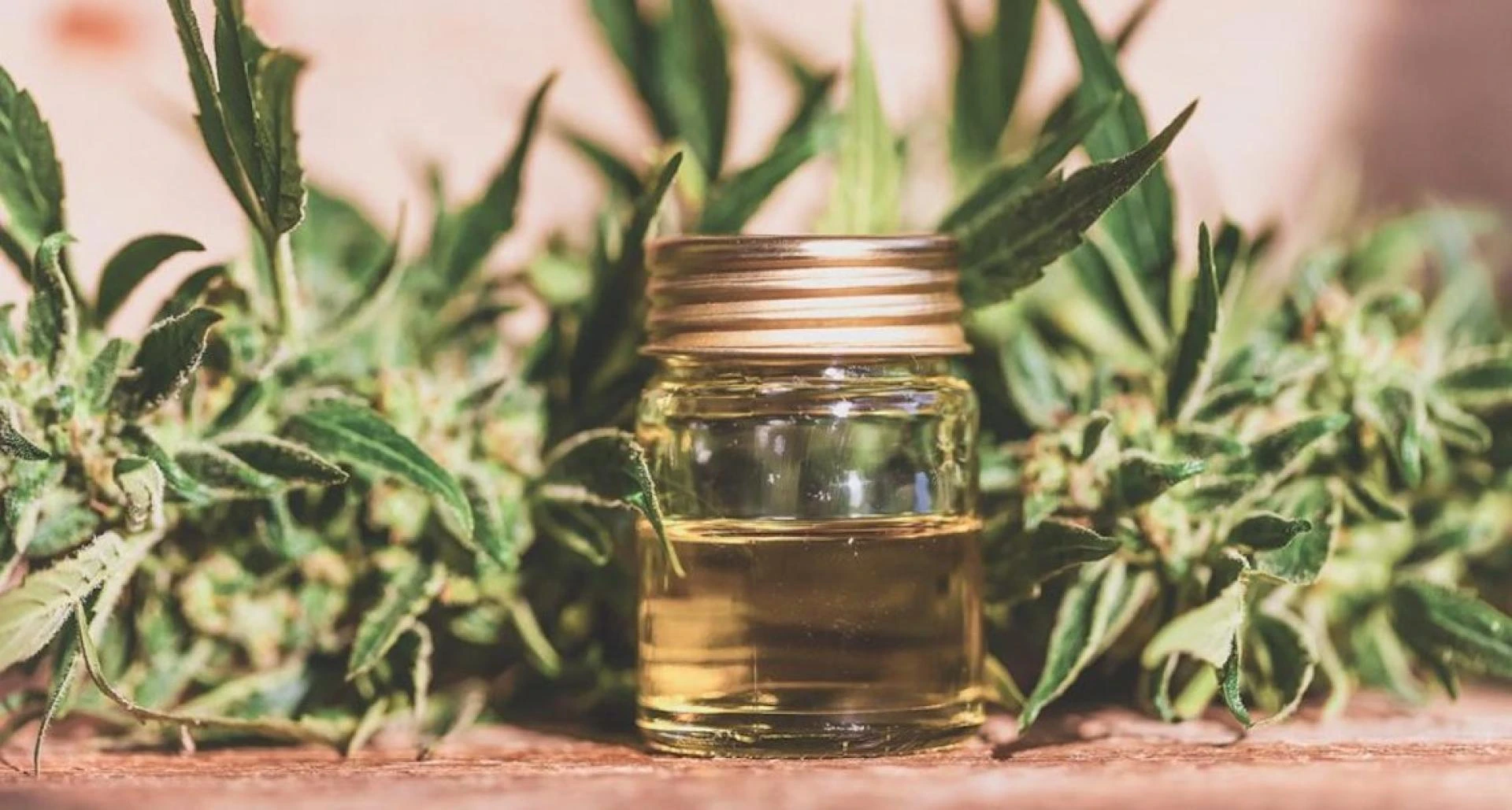 What's The Difference Between CBD Oil India And Hemp Oil India?