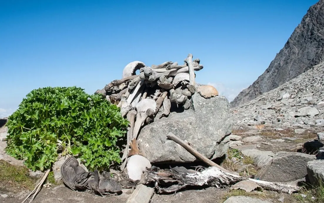 Why Roopkund Trek Should Be on Every Trekker’s Bucket List
