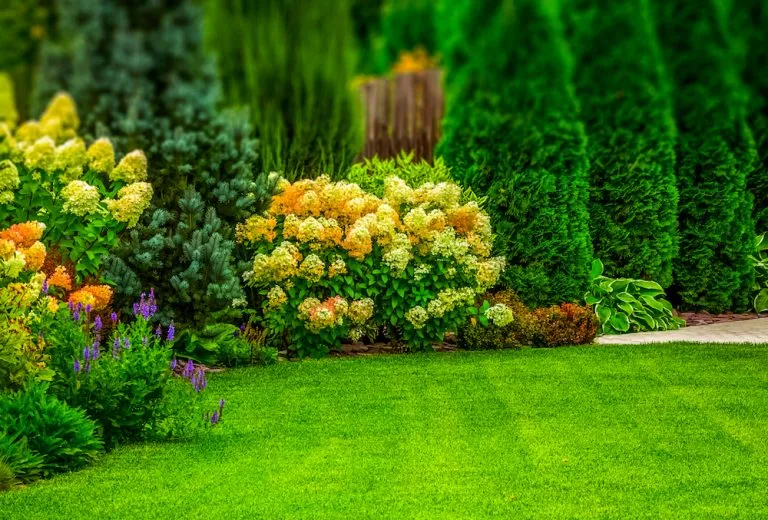 A Greener Yard Starts Here: Choosing Lawn Mowing Service in VA