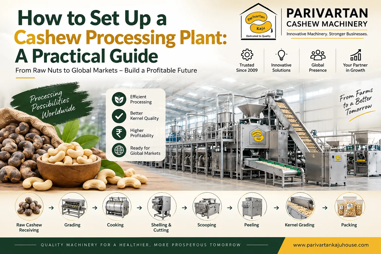 How to Set Up a Cashew Processing Plant: A Practical Guide
