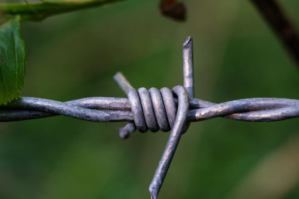 A Complete Guide to Choosing Pre-Straightened Cut Wire
