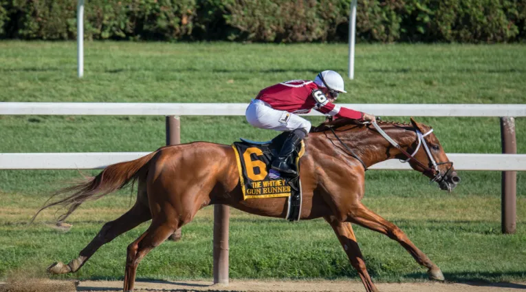 How Can a Betting Forecast Tool Improve Horse Racing Analysis?