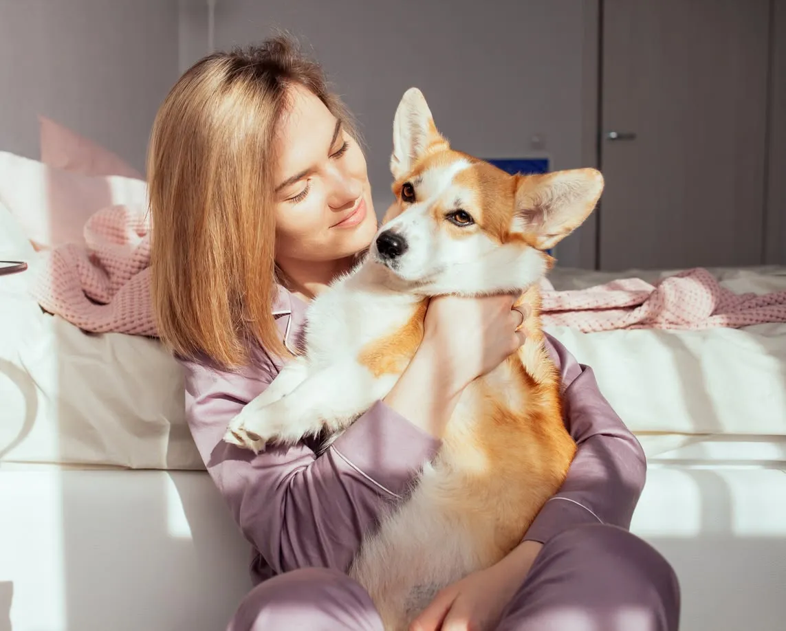 Is Jasmine Toxic to Dogs? What Owners Should Know About Plants and Pet Safety