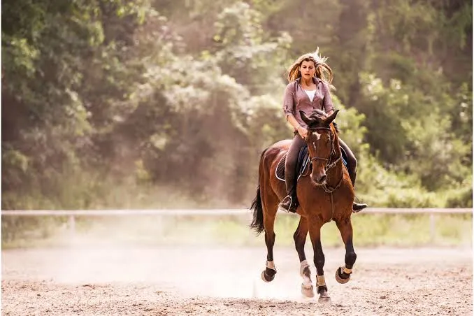 What Should I Know About the Best Horseback Riding San Miguel de Allende?