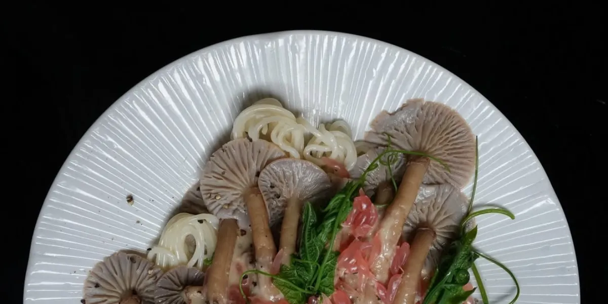 What Is Mushroom Bar Dining? A Look at Melbourne’s Most Umami-Driven Trend