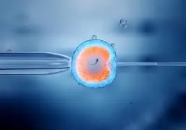 What Is the Difference Between Fertility Preservation and IVF?