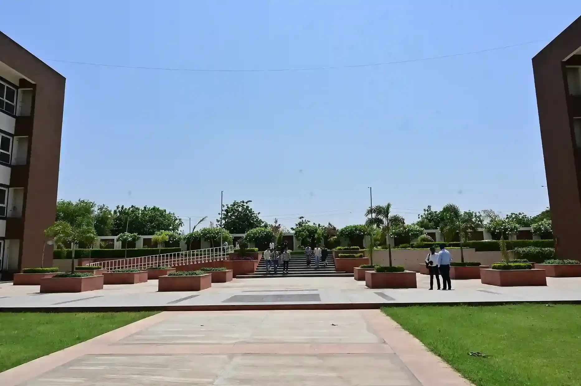 B Tech Computer Science and Engineering: Career, Skills & Scope