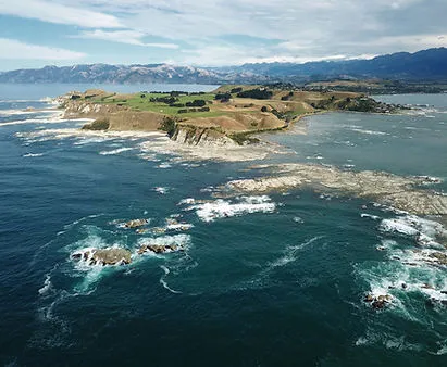 Avoid Paying for a Kaikōura Cruise That Falls Short