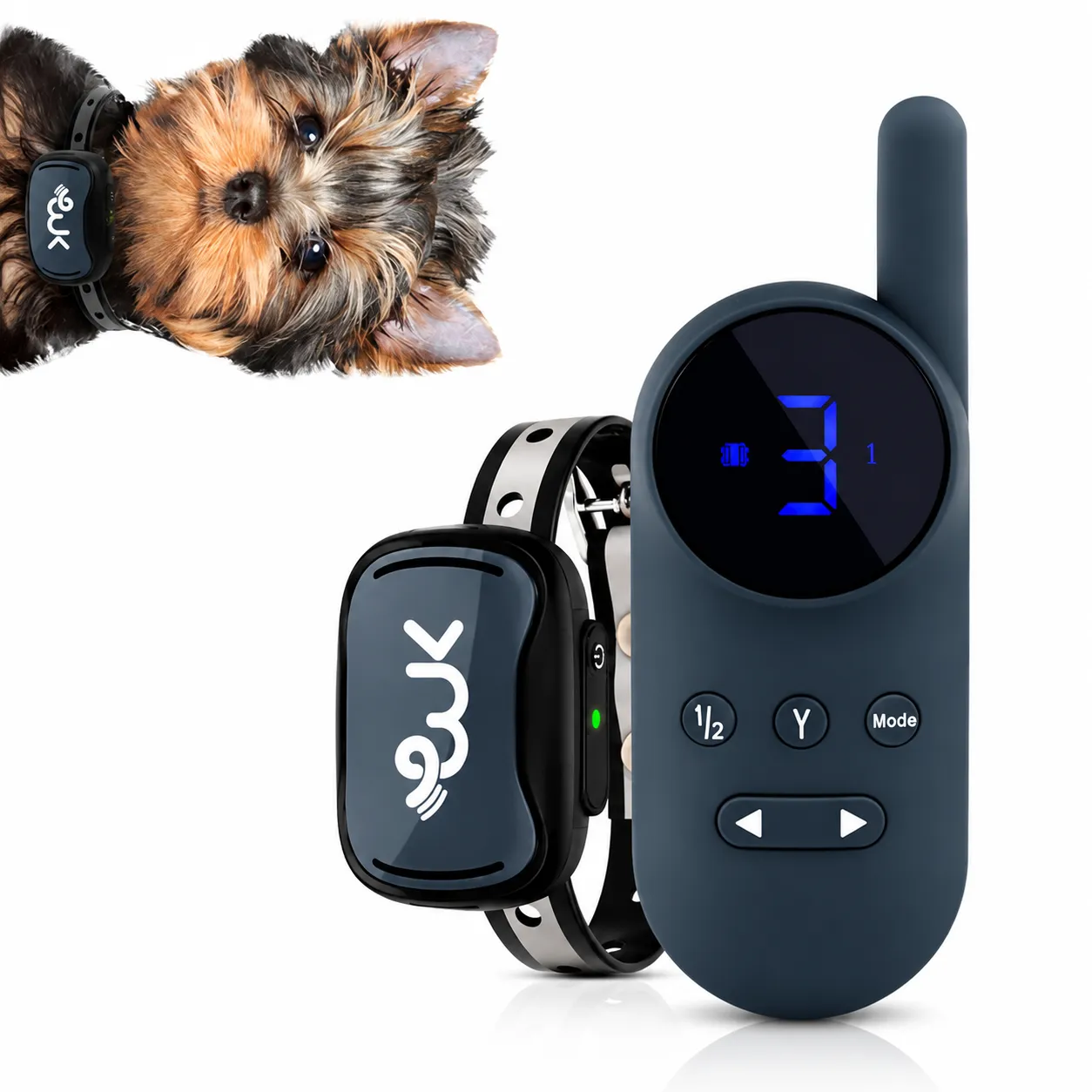 Choosing the Best Shock Collar for Small Dogs: What Actually Works