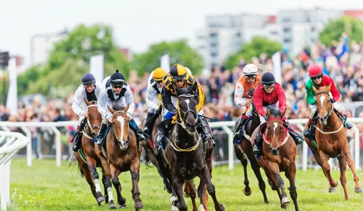 How Can Speed Ratings in Horse Racing Improve Race Analysis?