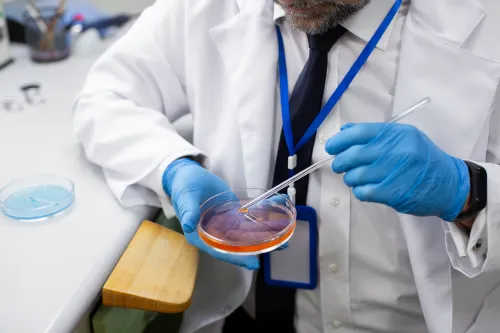 What Is Blastocyst Culture Treatment in IVF and How Can It Help Embryo Selection?