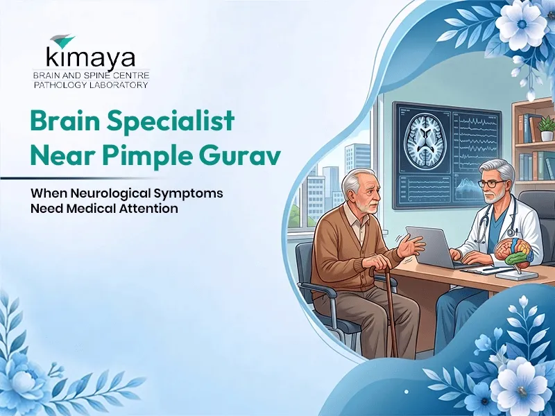 Brain, Spine or Nerves? Understanding Where Neurological Symptoms May Come From