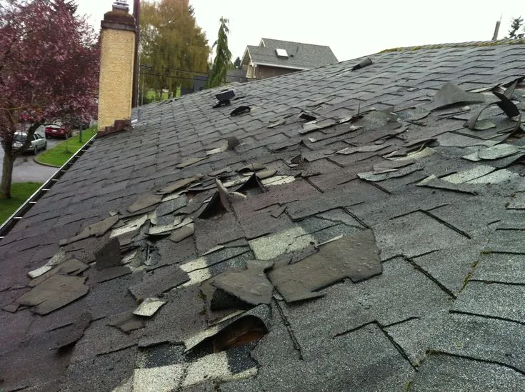 Important Signs That a Home May Need Professional Roof Repair