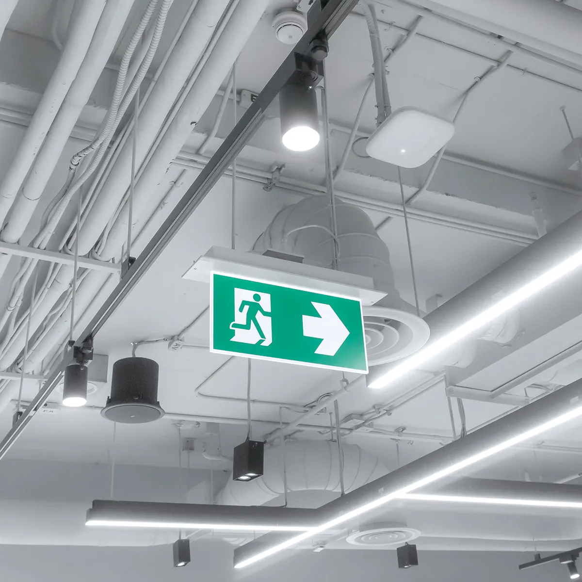 Emergency Exit Lighting Solutions for Safer Buildings