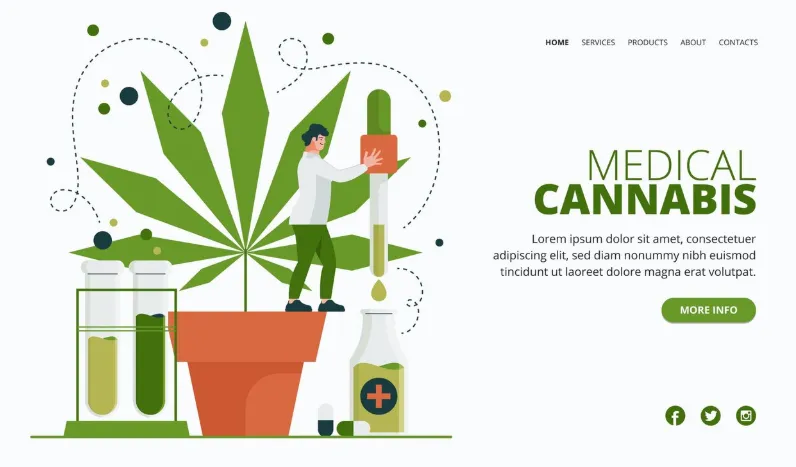 How to Start a Cannabis Website? 2026 Step-by-Step Guide