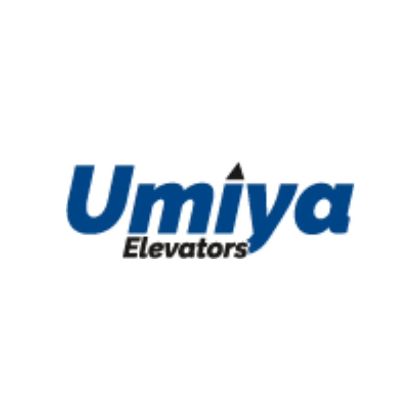 Elevator Installation Services: What to Expect Before, During and After Lift Installation