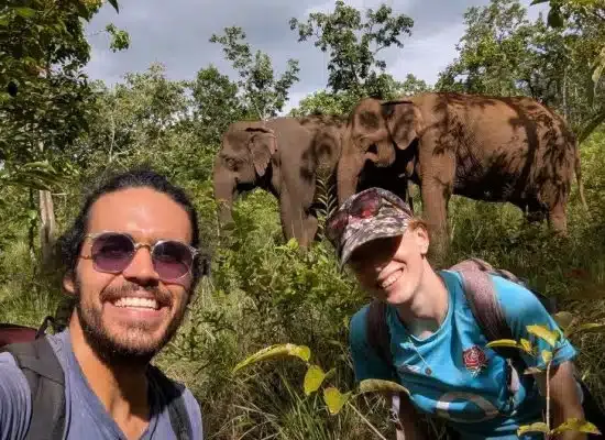 Can Elephant Trekking Help You Connect With Wildlife Responsibly?