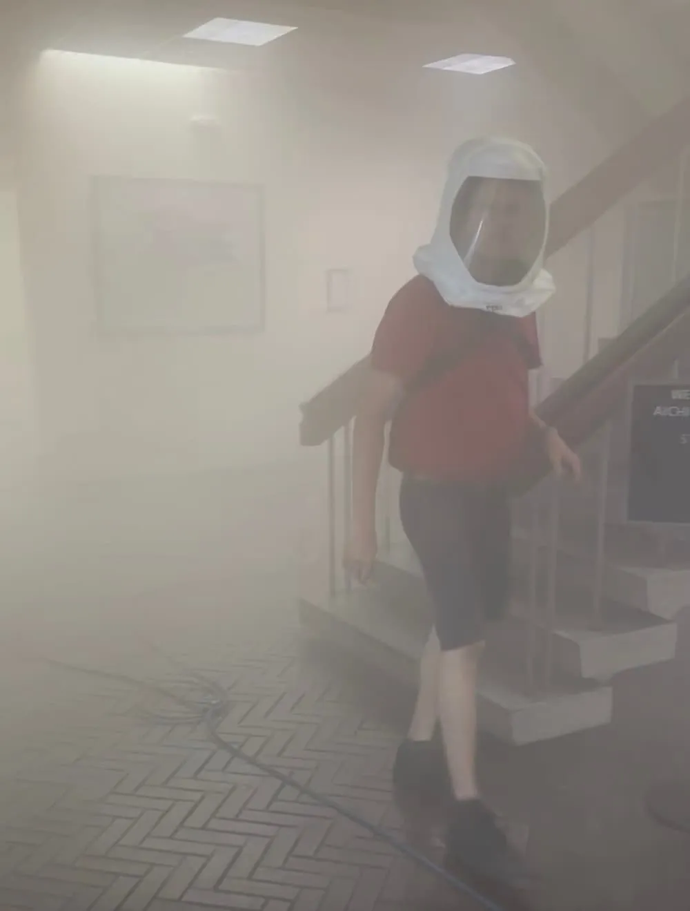 Benefits of Modern Mold Inspection Services for Healthier Homes